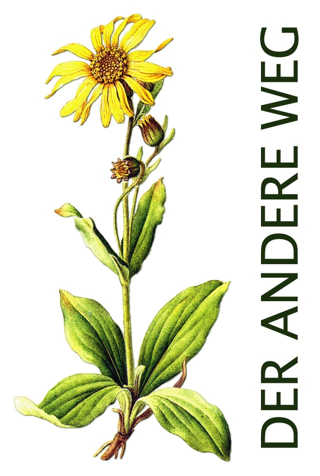 Botanische Zeichnung einer Arnikapflanze mit dem Schriftzug Der andere Weg